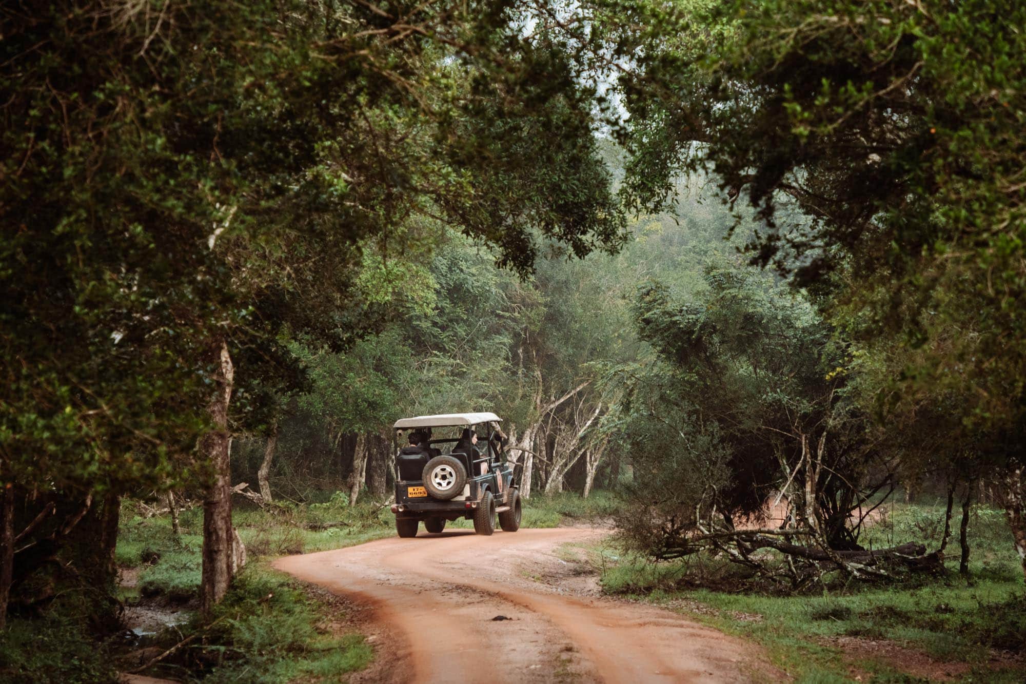 Wildlife & Nature Destinations