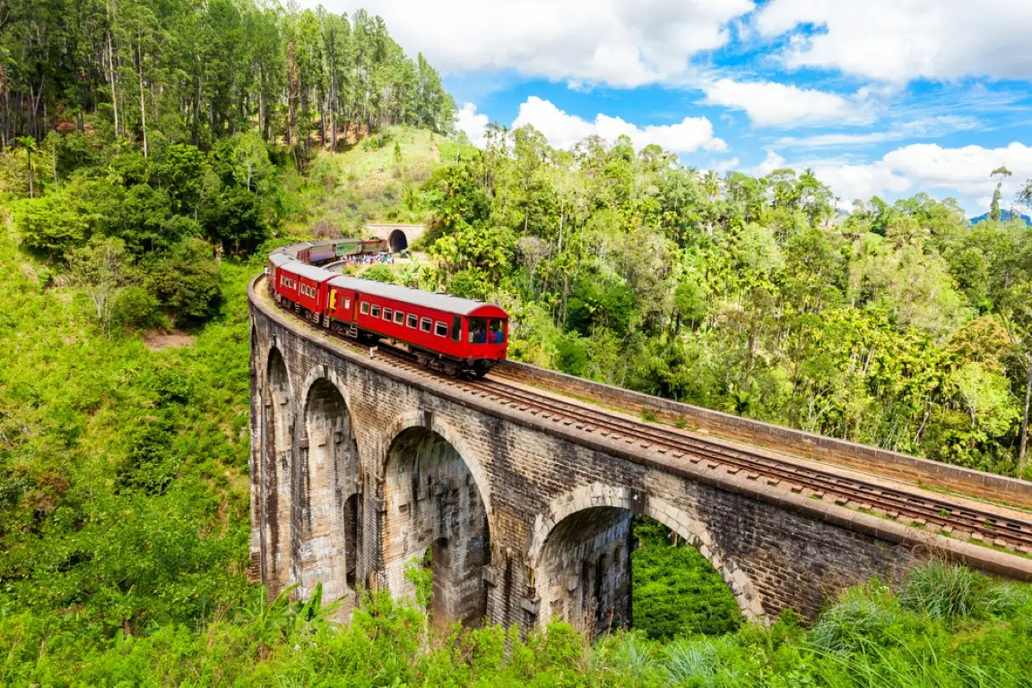 Misty Hills & Scenic Highland Escapes