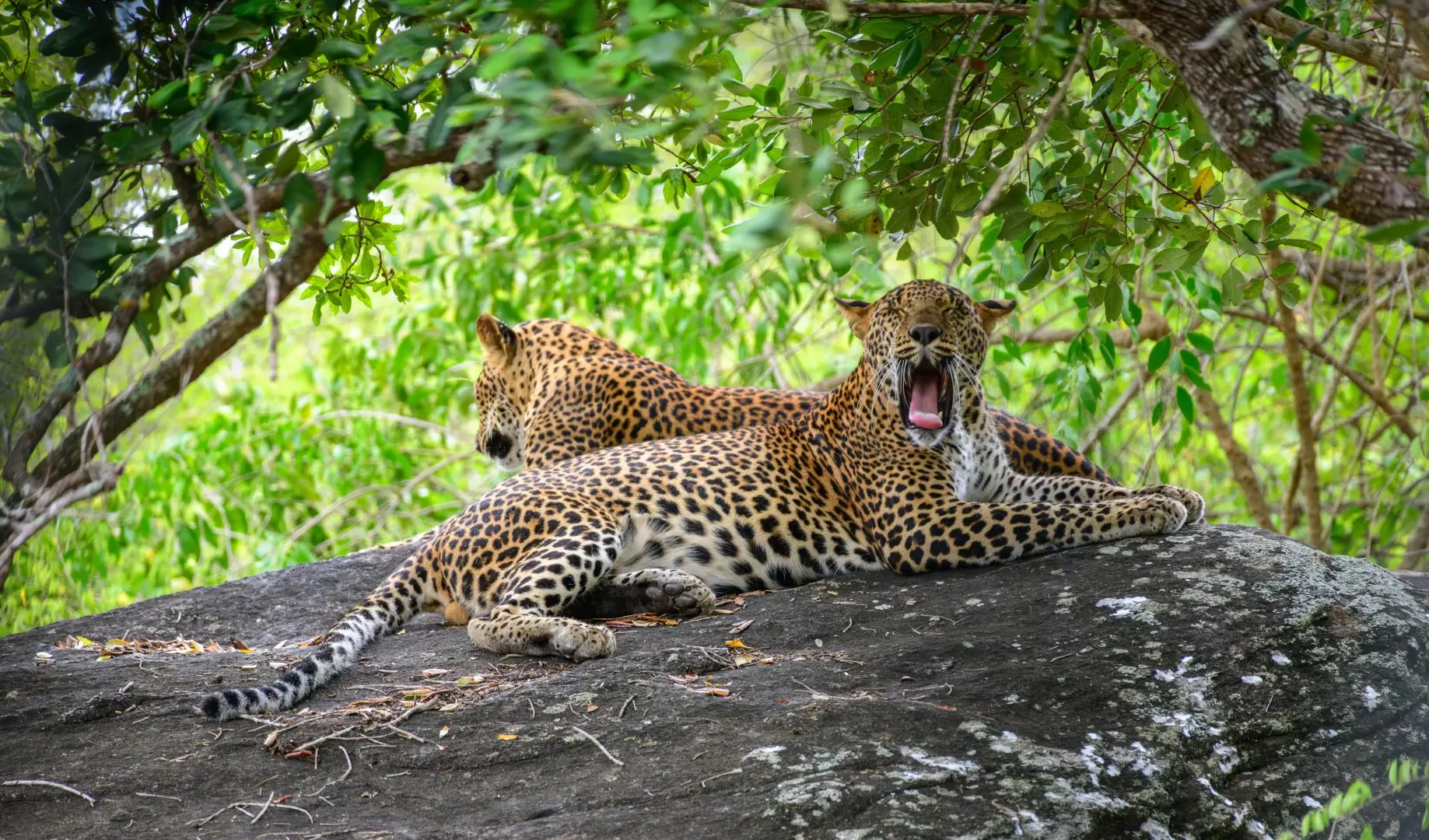 Wildlife & Nature Destinations