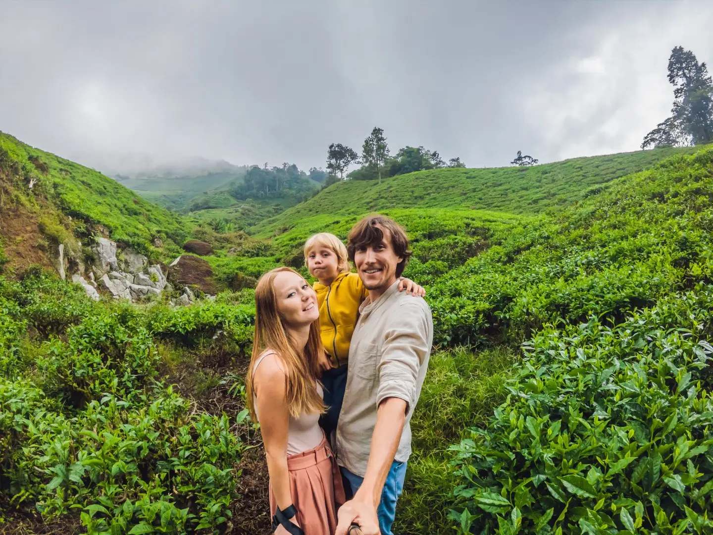 Tea Country & Ceylon Tea Experience